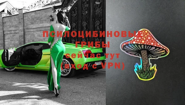 МДПВ Алексин
